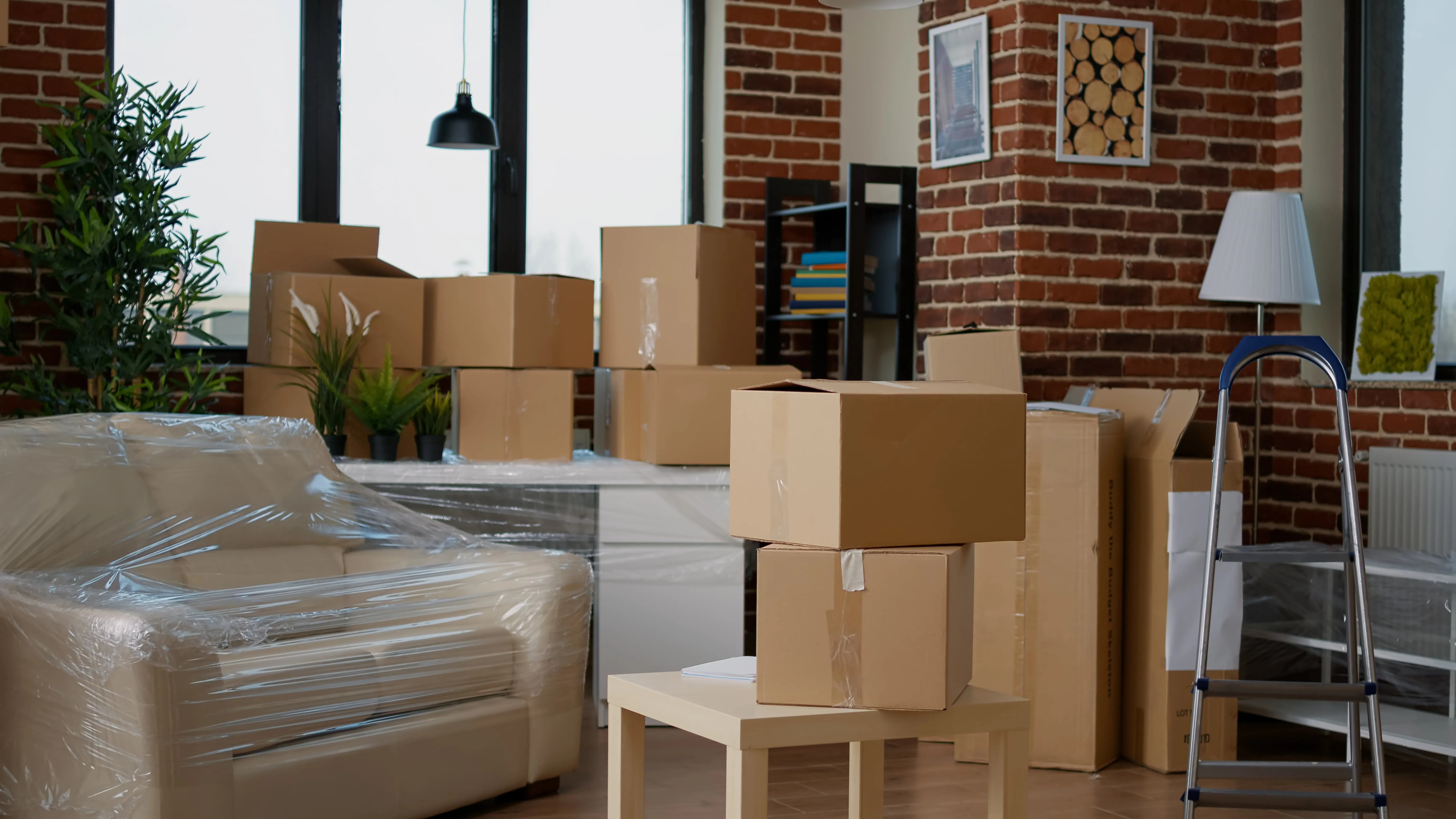 Packing And Moving Issaquah | Professional Packing Services