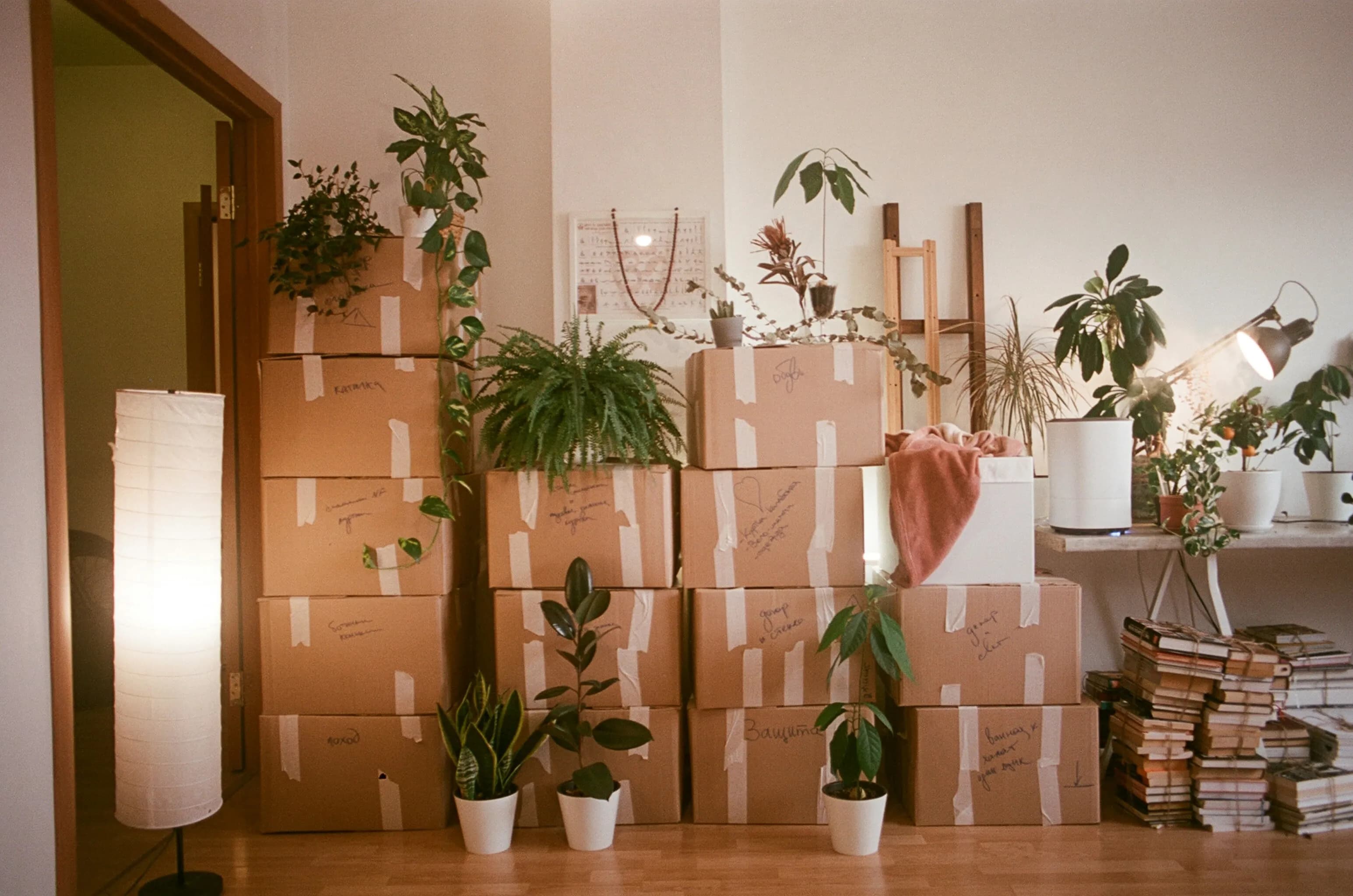 Top Benefits Of Hiring State-To-State Moving Companies For Residential Moves