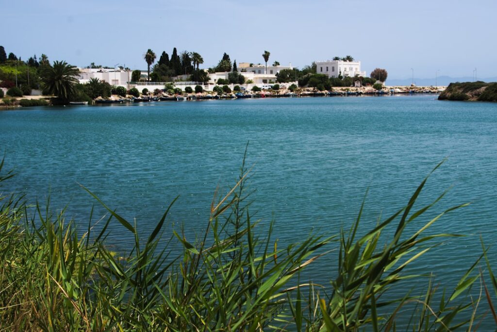 residential commercial moving installation in medina, wa